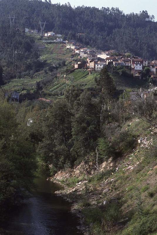 RWT 0244 304-26 Portugal Heading Upland.jpg